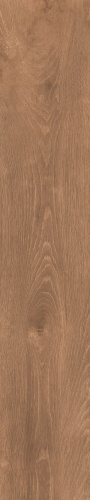 FERROVIA WOOD CHOCO  керамогранит 20x120