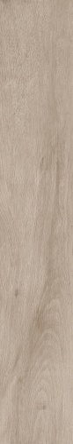 FERROVIA WOOD RIVIERA  керамогранит 20x120