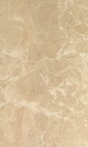 Saloni brown wall 01  30х50 
